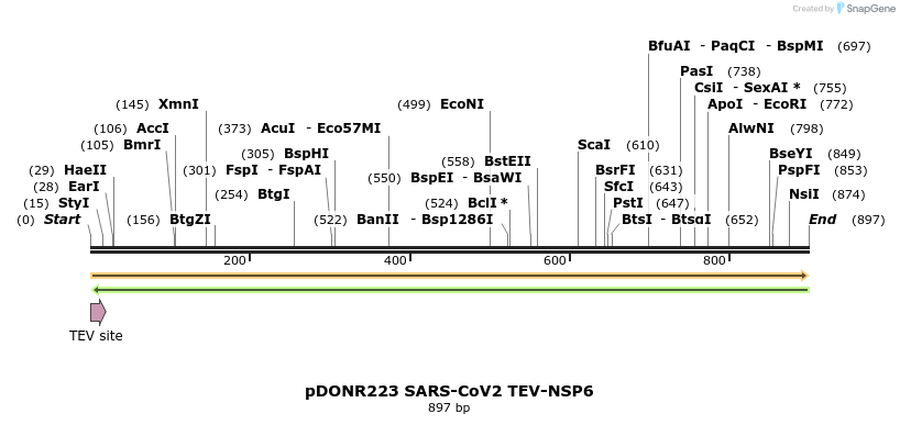 298874_map