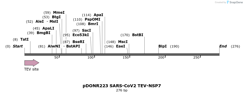 298875_map