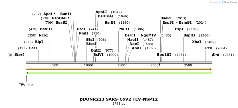 298879_map