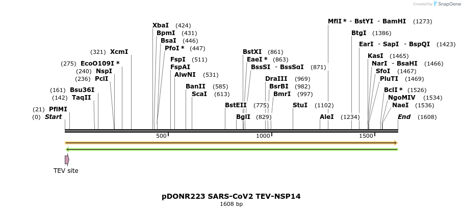 298881_map