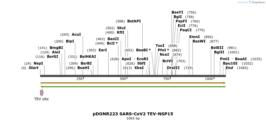 298882_map