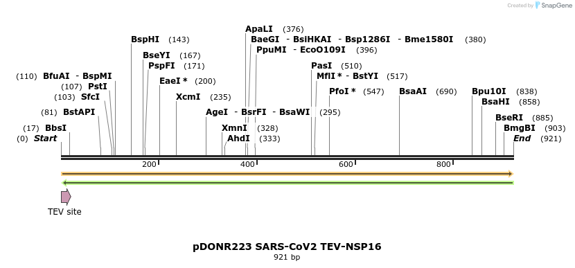 298883_map