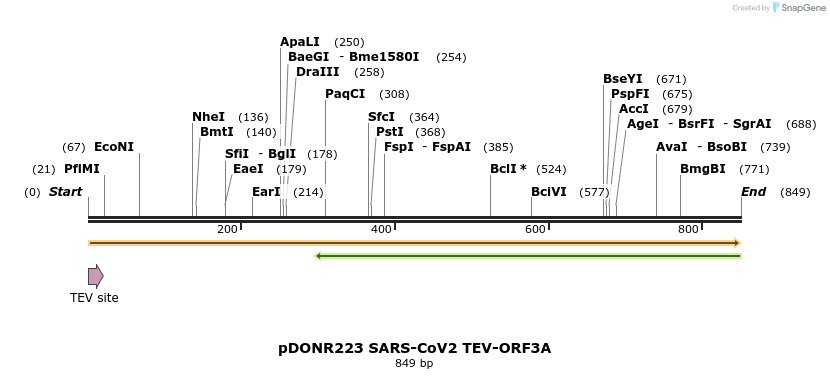 298885_map