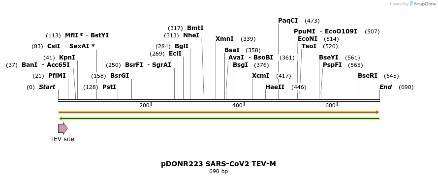 298888_map