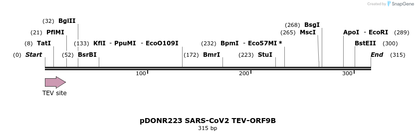 298894_map
