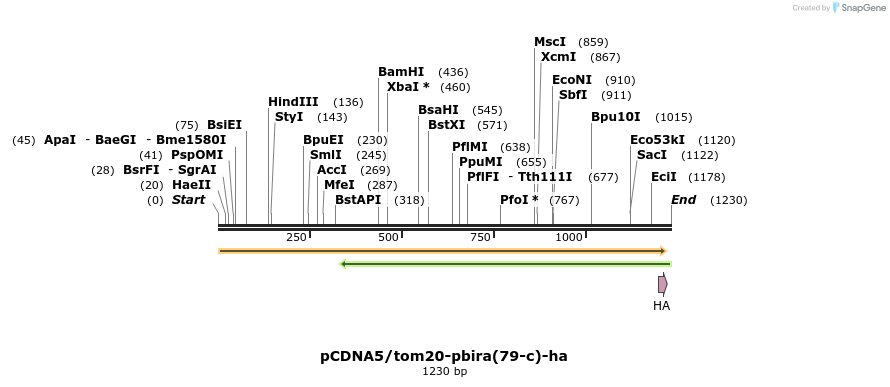 298944_map