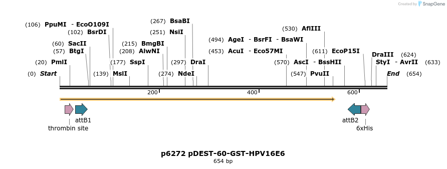 29901_map