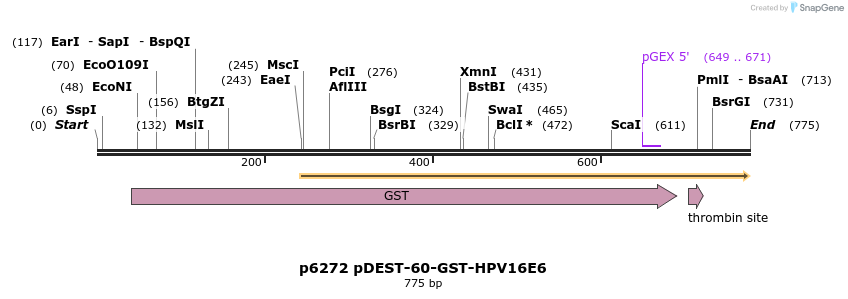 29902_map