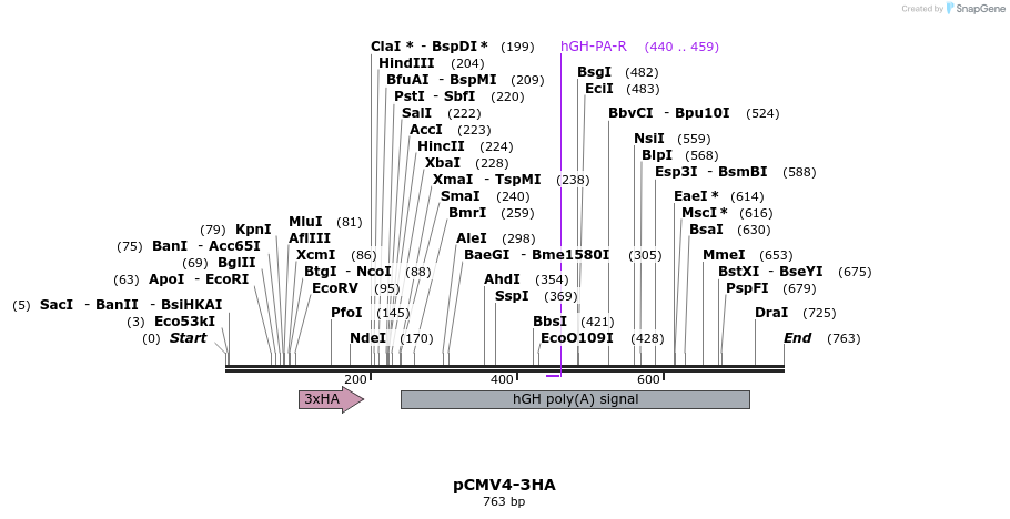 29907_map