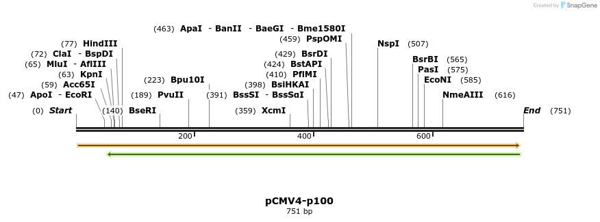 29912_map