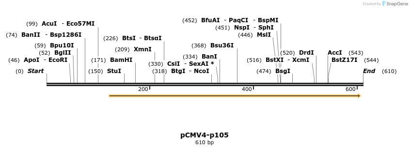 29913_map