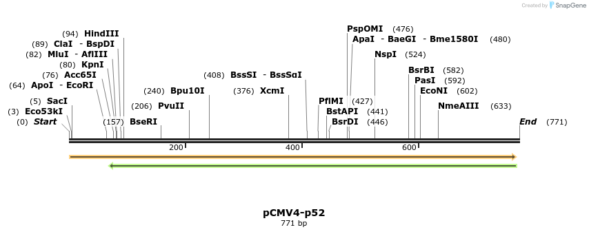 29914_map