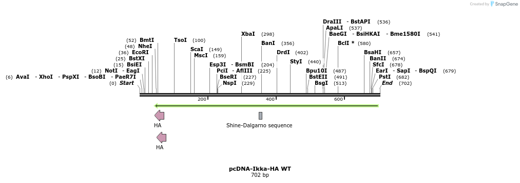 29915_map