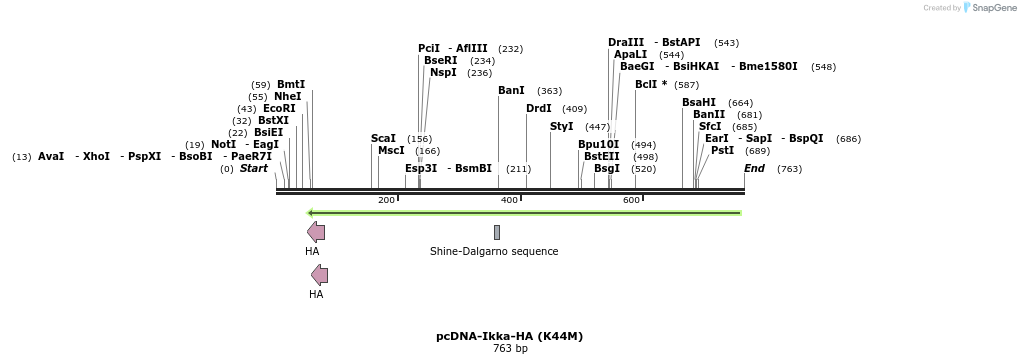 29916_map