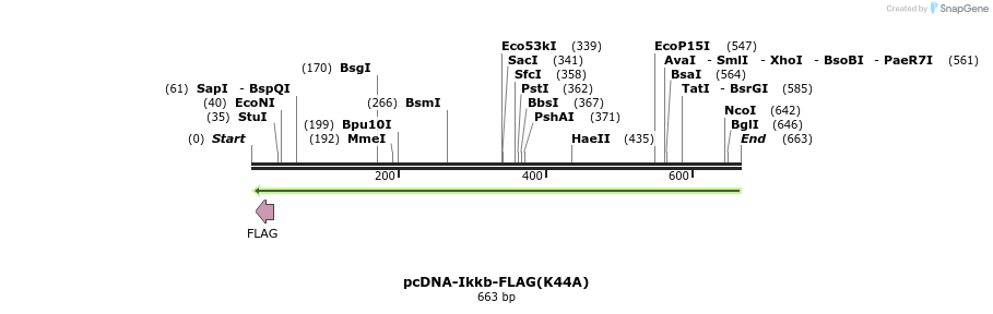 29919_map