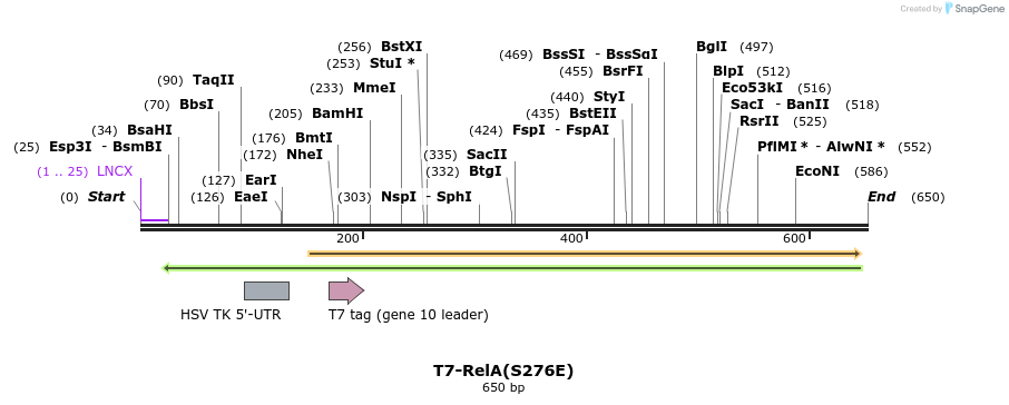 29924_map