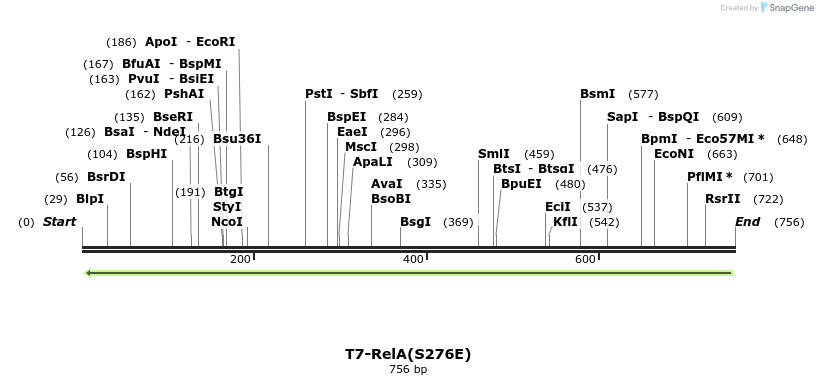29925_map
