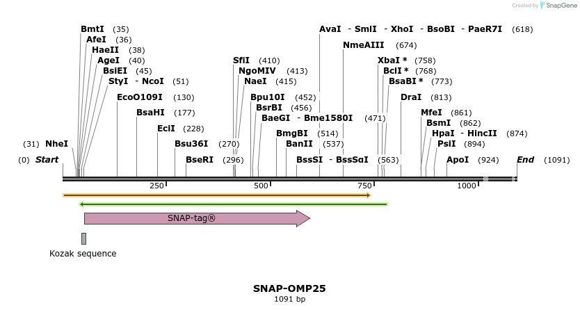 299285_map