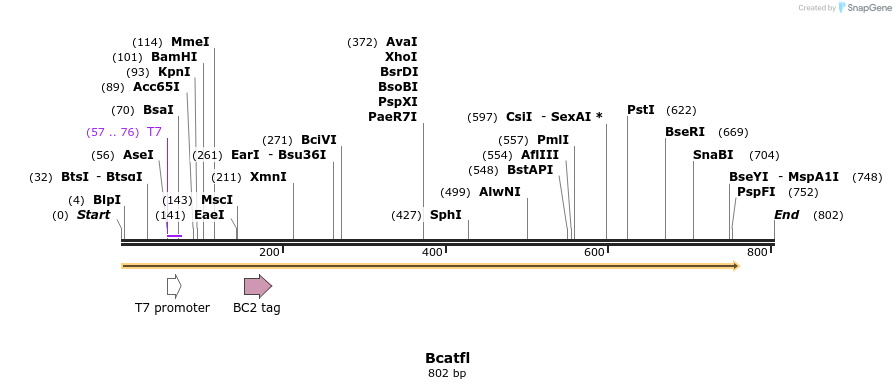 29930_map