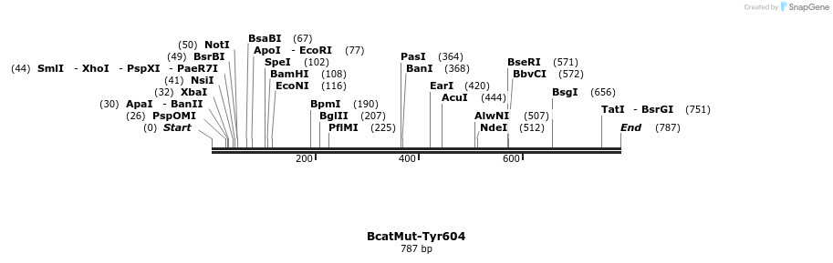 29931_map