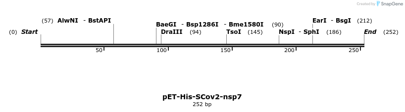299319_map