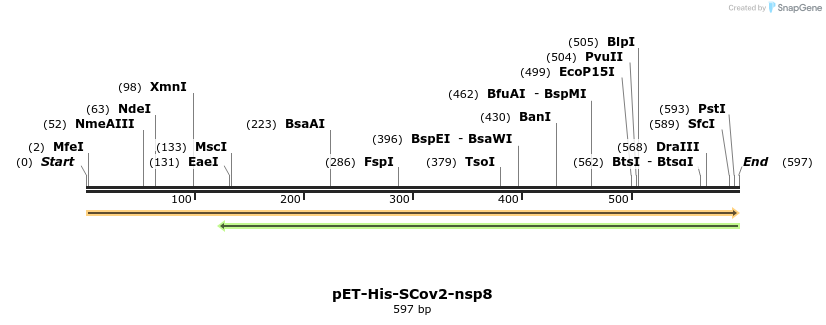299321_map