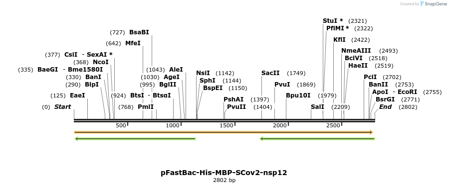 299323_map