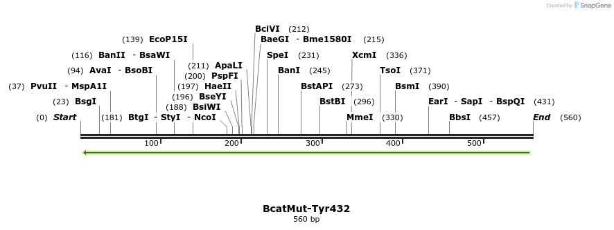 29935_map