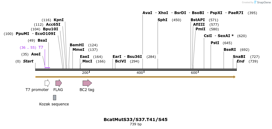 29936_map