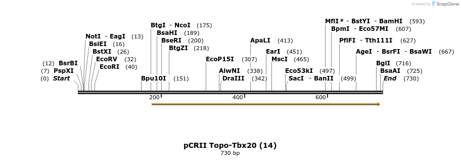 29937_map