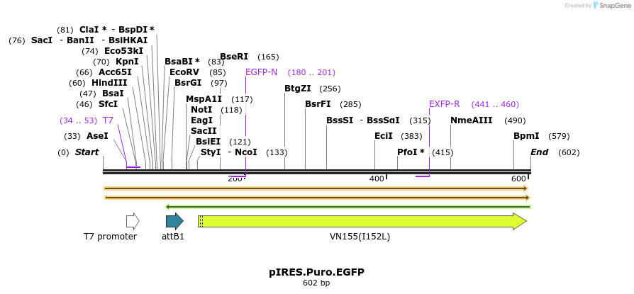 29938_map