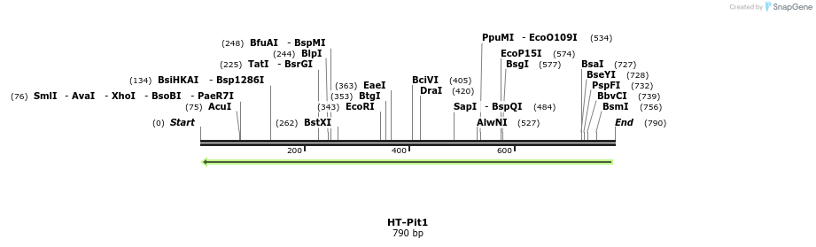 29946_map