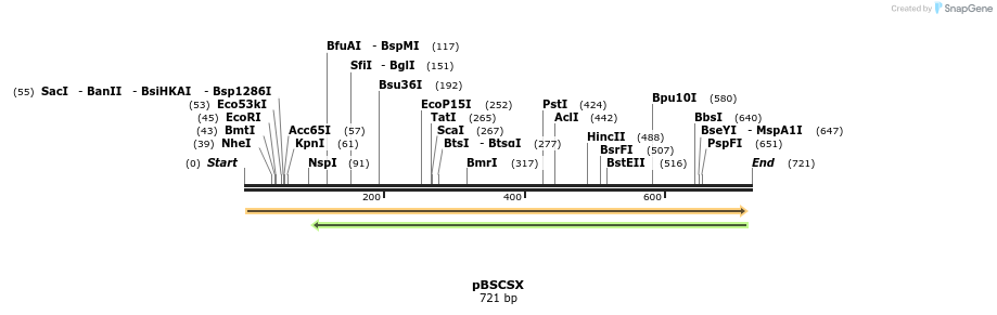 29952_map