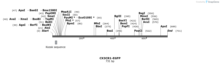 29954_map