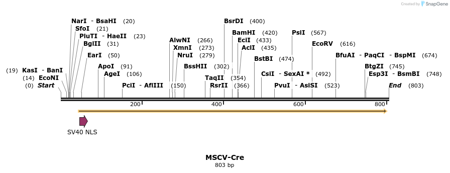 29955_map