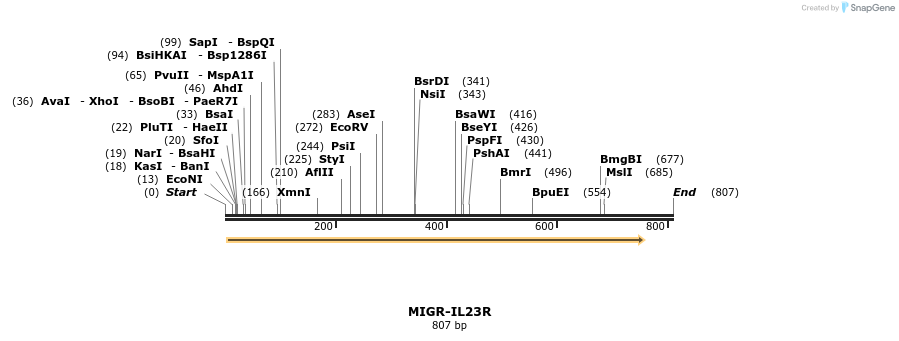 29957_map
