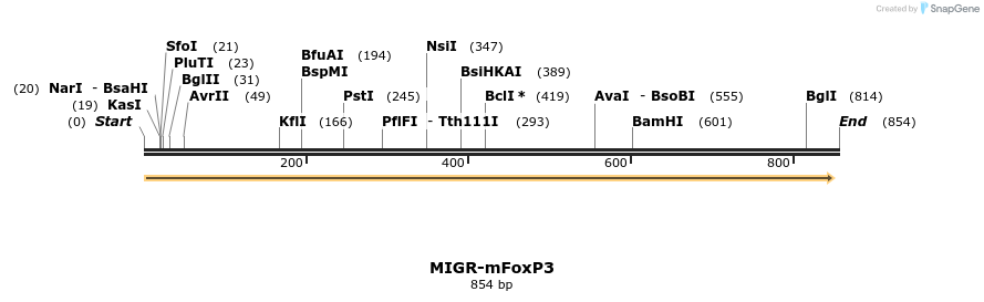 29958_map