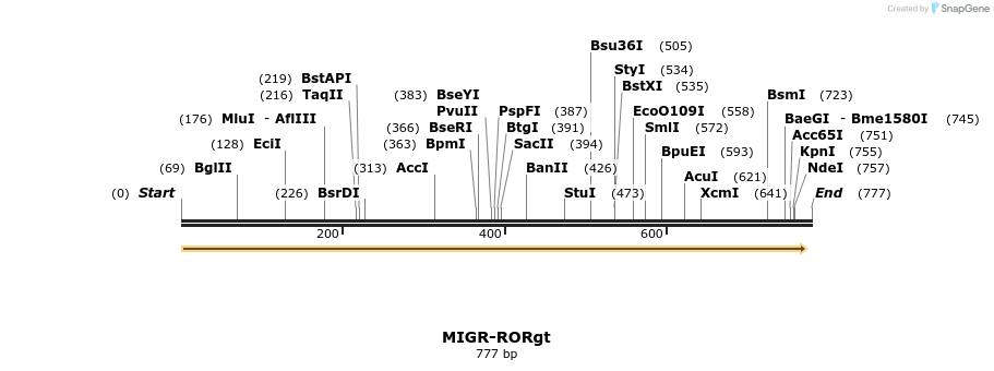 29960_map