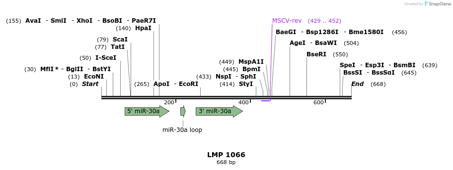 29962_map