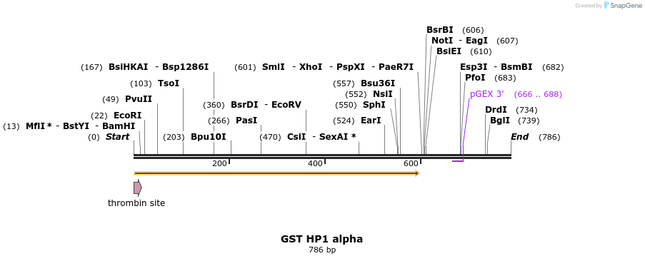 29967_map