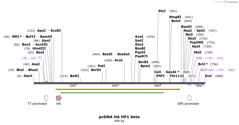 29973_map