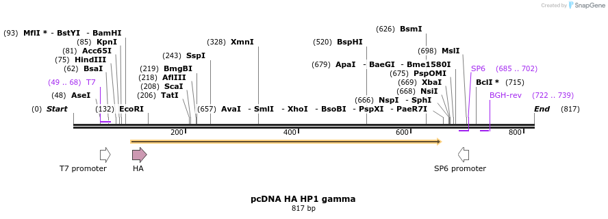 29974_map