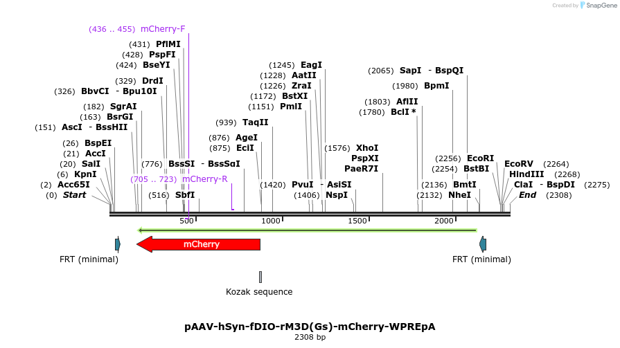 299787_map