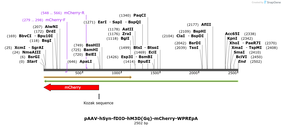 299788_map