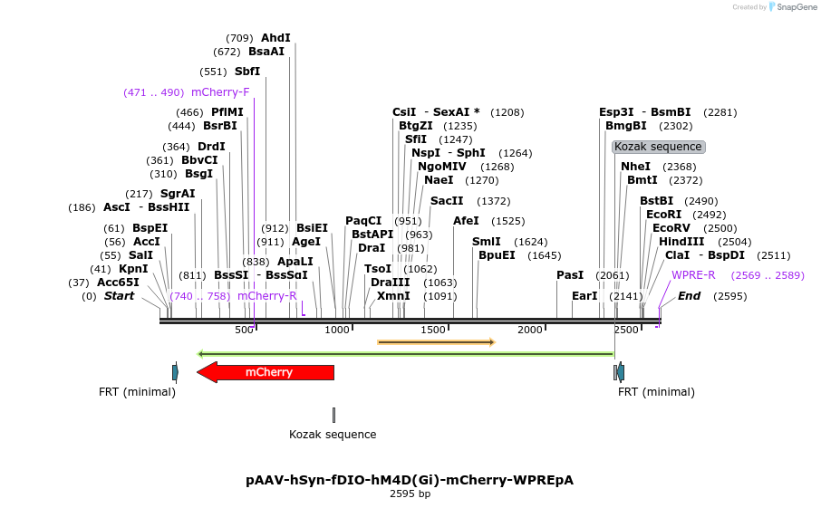 299789_map