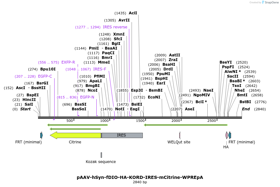 299790_map