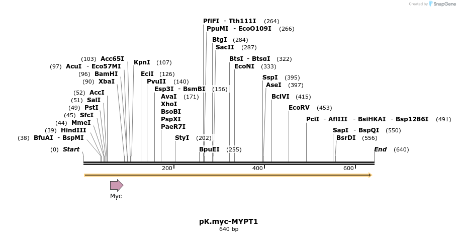 29980_map
