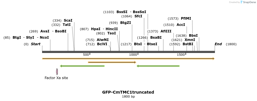299850_map