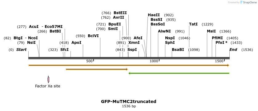299852_map