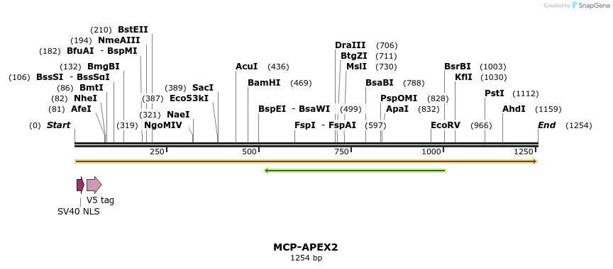 299885_map
